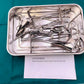 Gynecological Examination Instrument Set（kit）