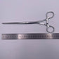 INTESTINAL FORCEPS